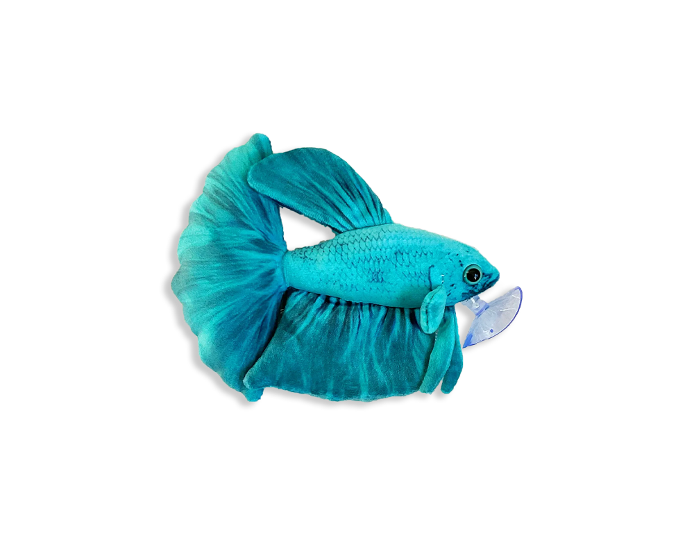 GreenPleco Akua Betta Plush The Reef Aquarium Shop
